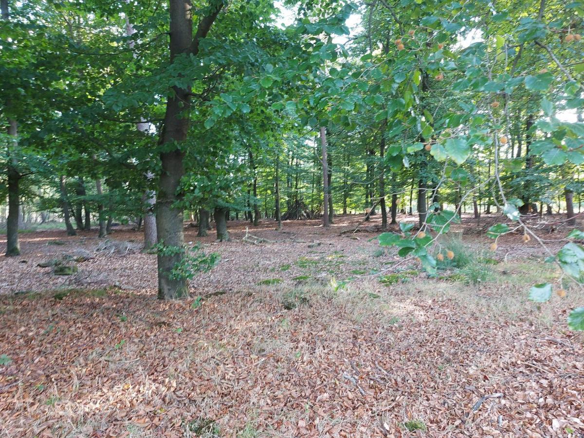 Вилла Chalet Wanama. Gelegen Op Het Vakantiepark Het Lierderholt Op De Veluwe. Бикберген Экстерьер фото