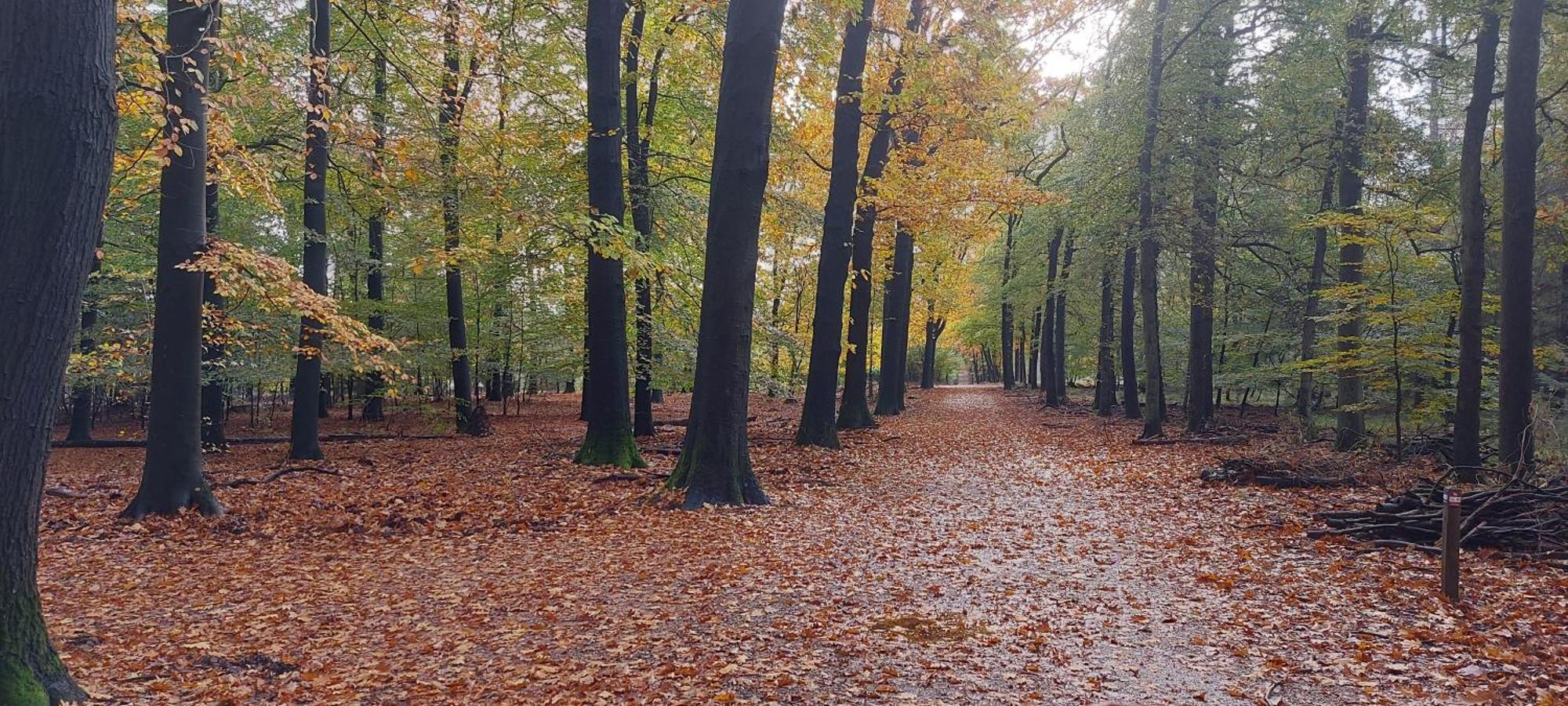 Вилла Chalet Wanama. Gelegen Op Het Vakantiepark Het Lierderholt Op De Veluwe. Бикберген Экстерьер фото